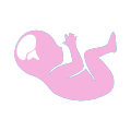 Neurosonografía fetal